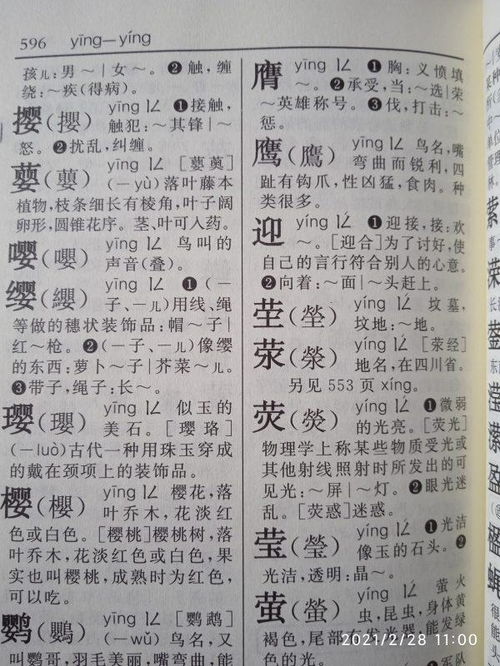 鹰的组词的拼音怎么写