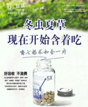极草的极怎么组词