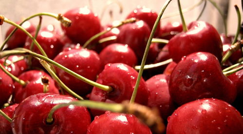 樱桃的樱组词 樱桃的樱组词