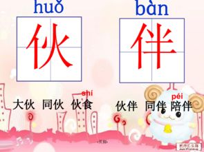 小伙伴的怎么组词