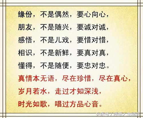 电影的影莹怎么组词