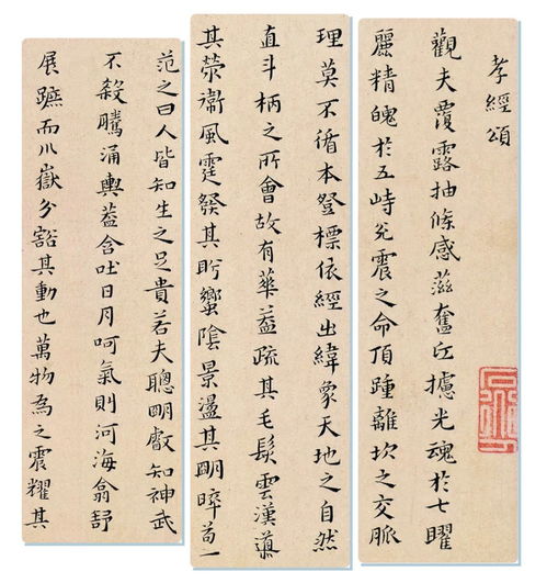 浦的组词