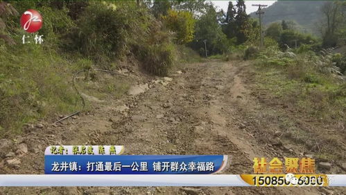 坡是怎么组词的呢