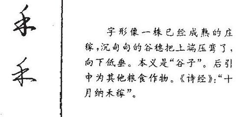 儿怎么组词r 儿怎么组词r