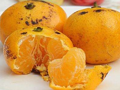 小布橘子怎么组词