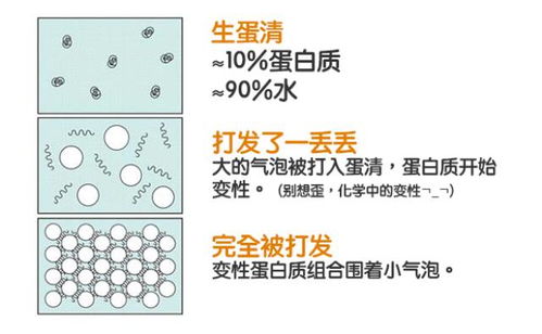 用蛋清怎么组词