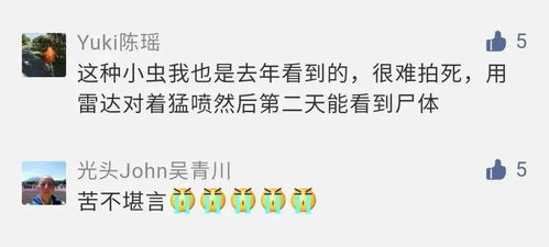 虫子的虫崇明怎么组词