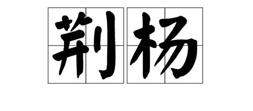 唐装的唐怎么组词