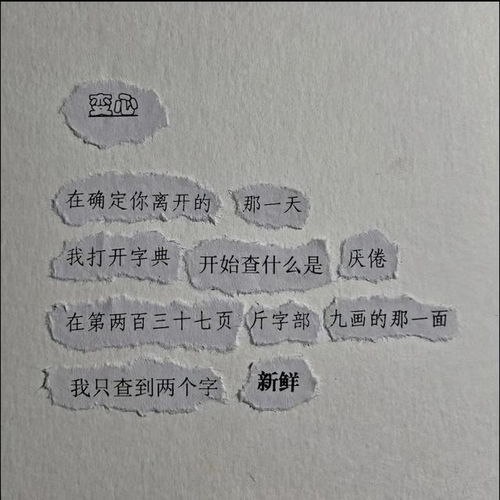 好奇的奇怎么组词怎么写