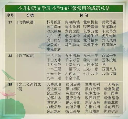 小度纹怎么组词语
