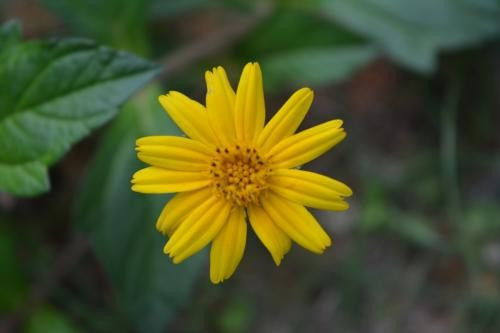 微风怎么了组词 微风怎么了组词