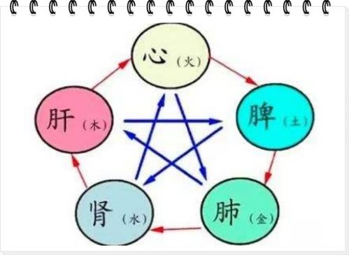 脾气的脾怎么组词组词