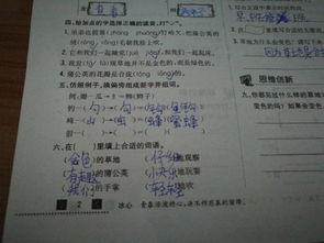 是啥怎么组词啊