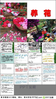 大小的小组词怎么读