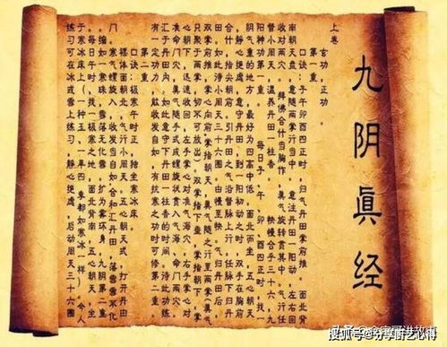 奥秘的傲可以怎么组词啊