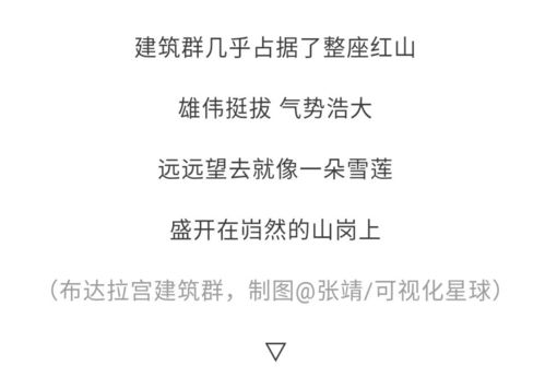 托起的鸵怎么组词 托起的鸵怎么组词