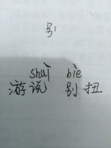 说的多音字是怎么组词