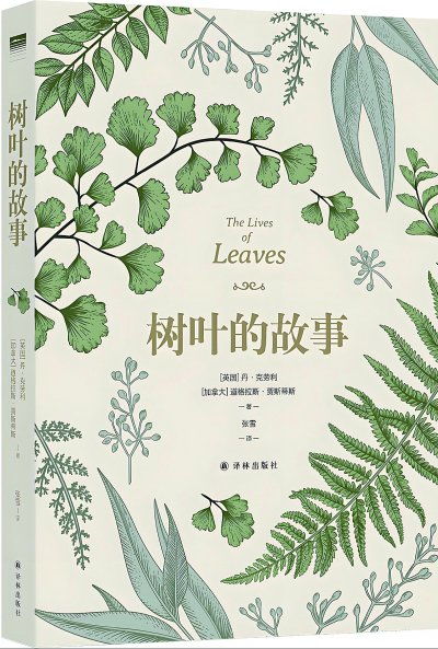 树叶兮的兮怎么组词