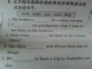 英语的仔怎么组词