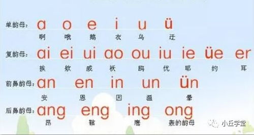 鼻的组词和拼音