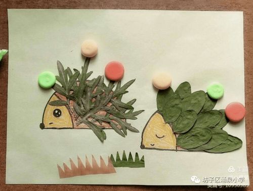 树叶泉怎么组词 树叶泉怎么组词