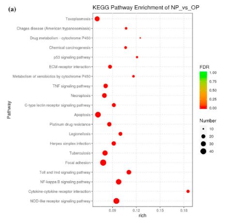 有没有的幼可以怎么组词