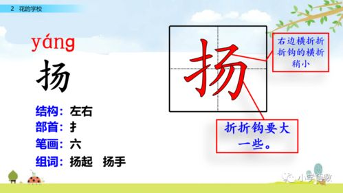 扬字怎么组词 扬字怎么组词