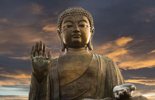 模仿的佛怎么组词语 模仿的佛怎么组词语