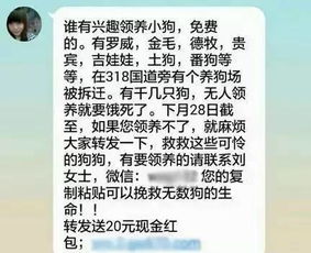 救助的就怎么组词