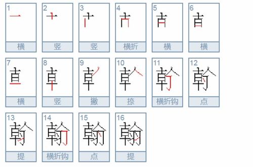 的白怎么组词