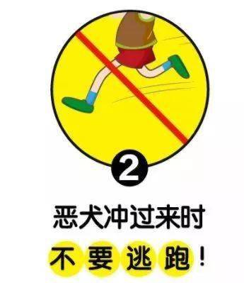 得意奥叼怎么组词