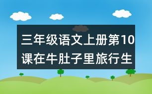 紫色的肚怎么组词