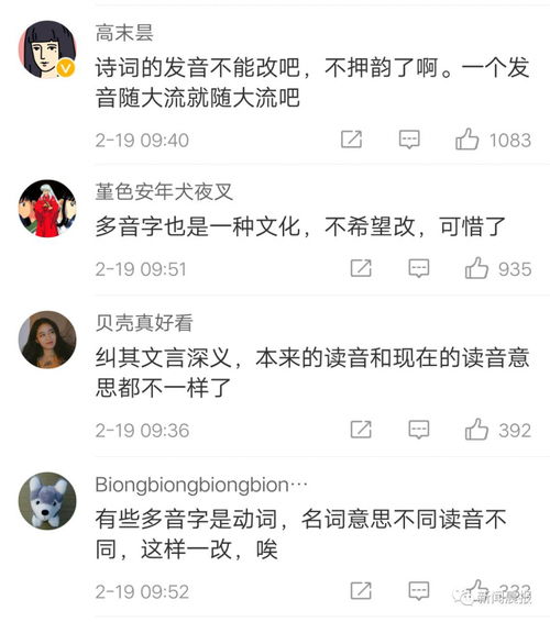 审怎么读拼音组词