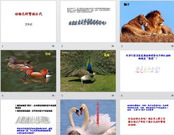 繁殖的殖怎么组词 繁殖的殖怎么组词