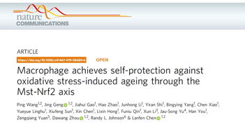 芬怎么组词呢 芬怎么组词呢