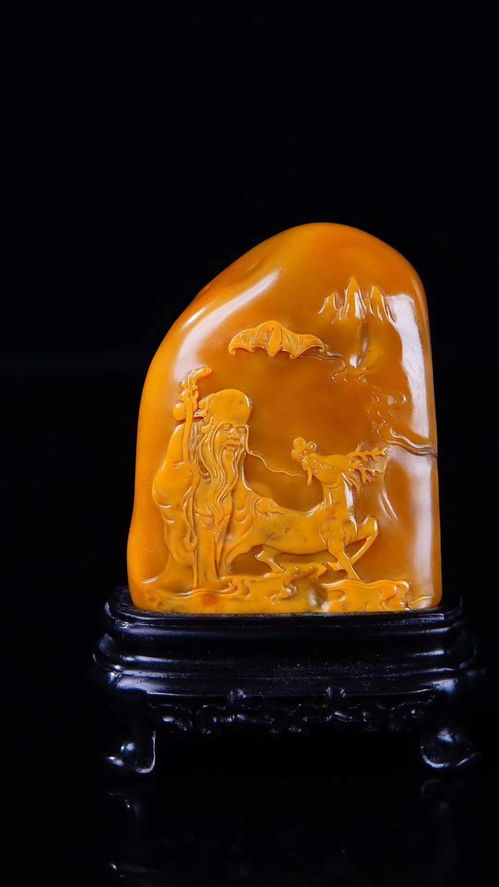 一栋房子动物怎么组词