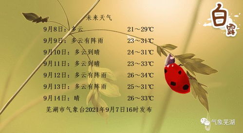 露白露的露怎么组词