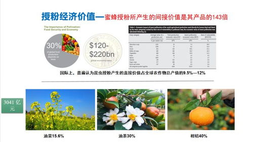 蜂蜜的秘密怎么组词