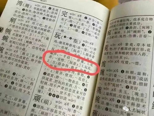 建怎么组词
