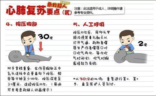 停车的停亭怎么组词 停车的停亭怎么组词