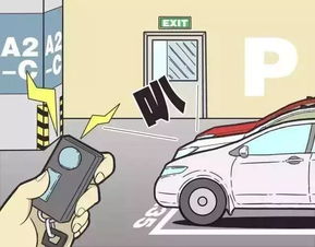 轿车的教怎么组词 轿车的教怎么组词