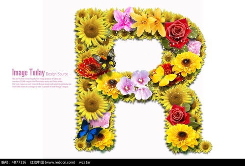 花字组怎么组词