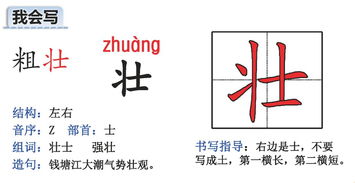 智怎么组词和部首和结构