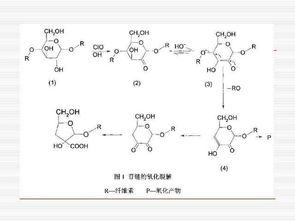 牛牛的粪便怎么组词