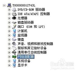 小度办怎么组词