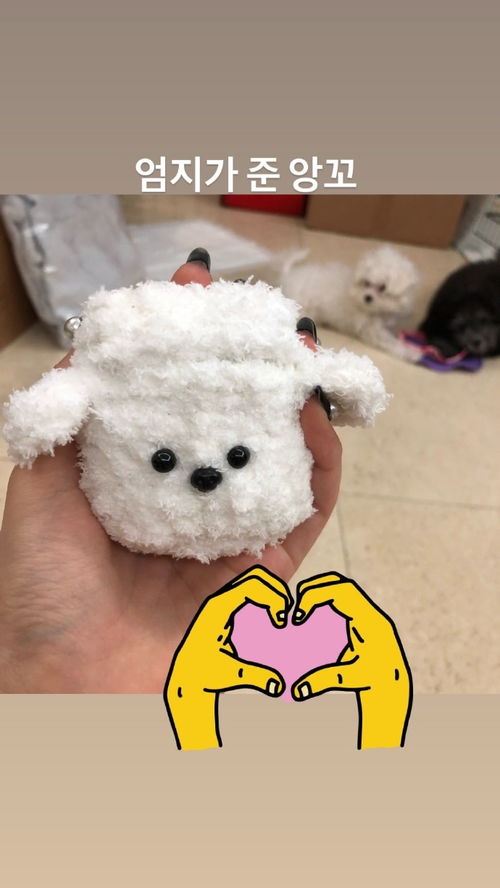 逗松鼠的豆怎么组词