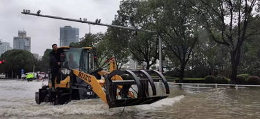 铲车的赶怎么组词