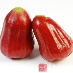 莲雾怎么组词 莲雾怎么组词