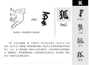 狐狸的力能怎么组词