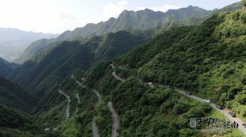 觅字偏旁和组词怎么读 觅字偏旁和组词怎么读